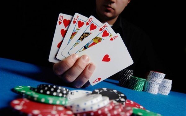 premiercasinos کیسینو میں بکراٹکھیلیں